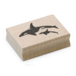 Killer-Whales