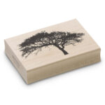 Tree-Oak