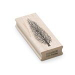 Tree-Poplar